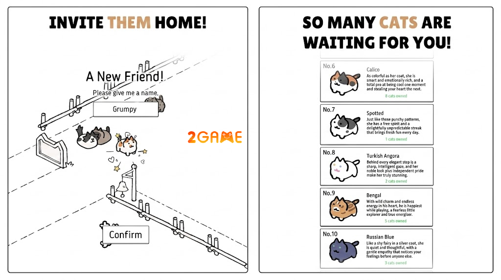 arrows-cats-1
