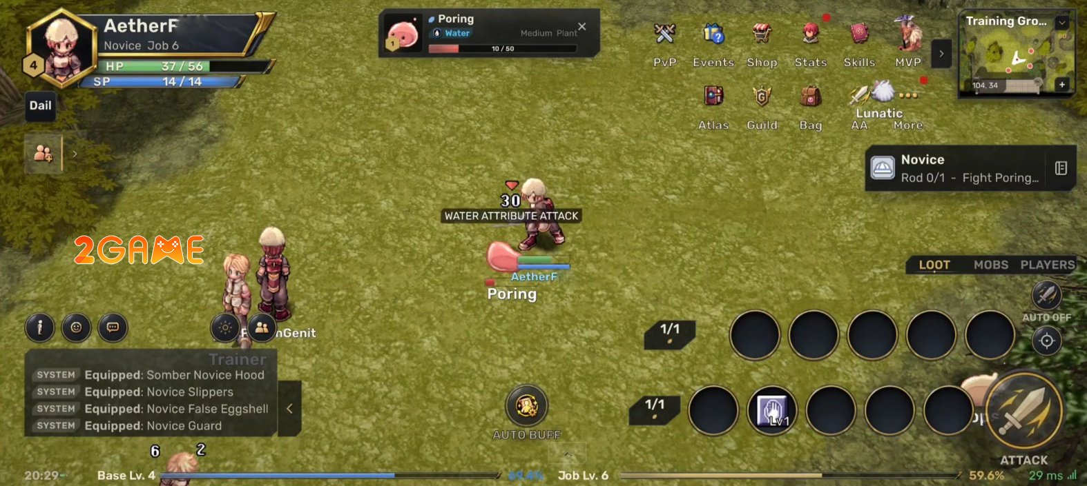 projectr-mmorpg-3